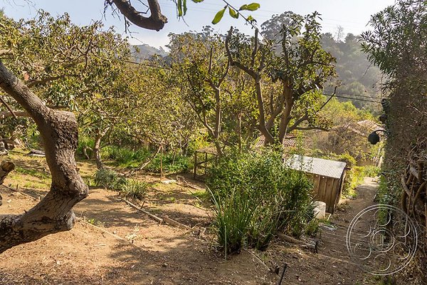 lavender-hill-farm image 61