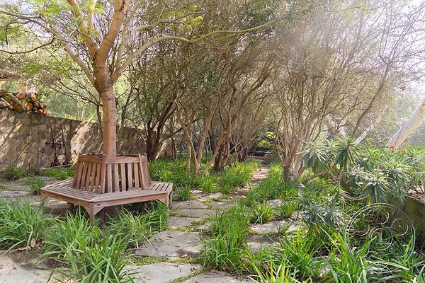 lavender-hill-farm image 43