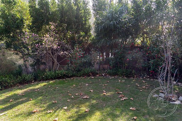 lavender-hill-farm image 87