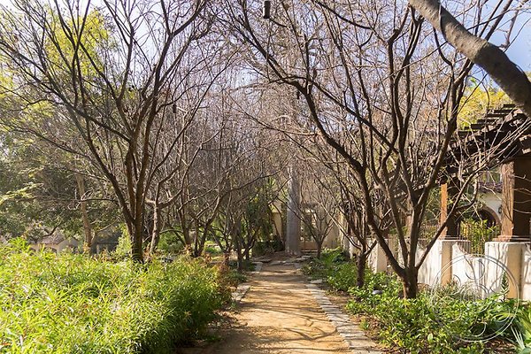 lavender-hill-farm image 39