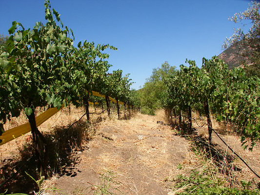 PICT0274