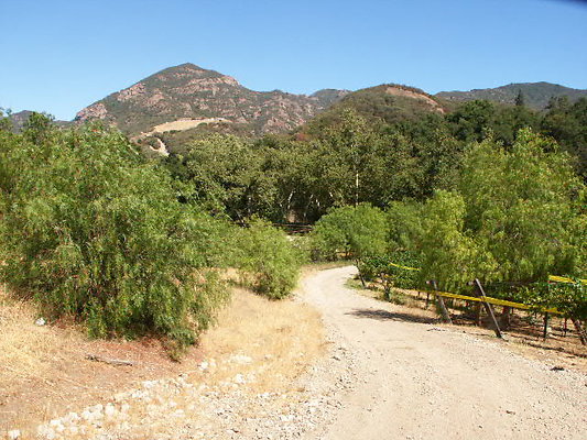 PICT0282