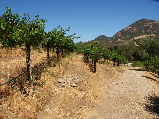 PICT0276