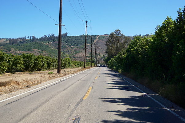 Balcom.Cyn.Rd.99