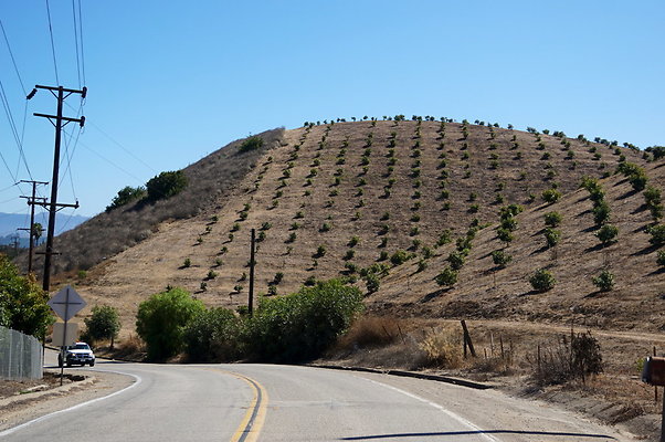 Balcom.Cyn.Rd.66