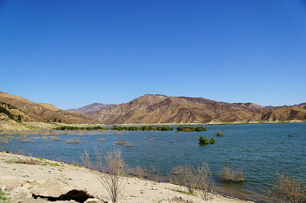 PCR.Lake.Piru.51