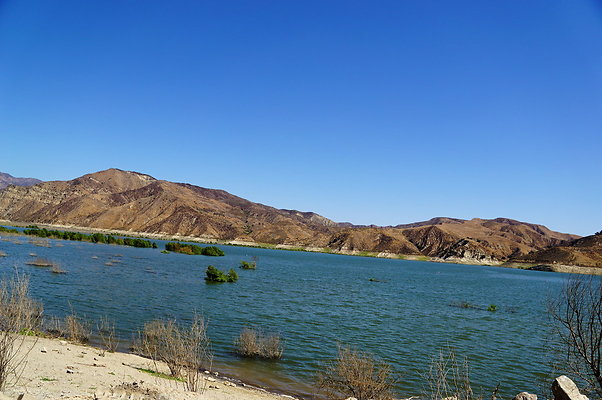 PCR.Lake.Piru.52