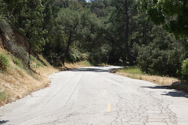 Mt.Hollywood.Dr.04