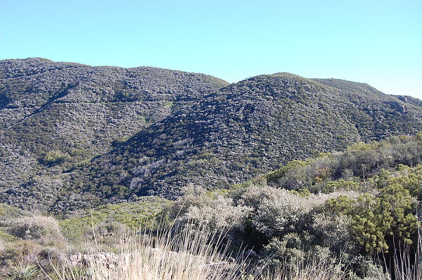 Sandstone.Peak.NP.18