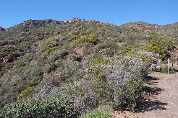 Sandstone.Peak.NP.06