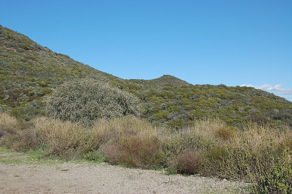 Sandstone.Peak.NP.13
