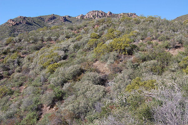 Sandstone.Peak.NP.03