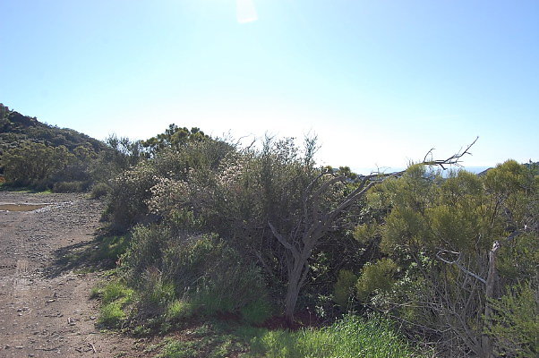 Sandstone.Peak.NP.04