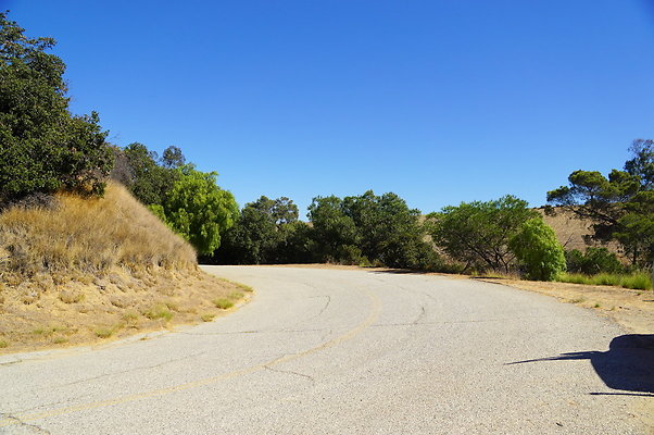 Royce.Cyn.Mt.Hwd.12