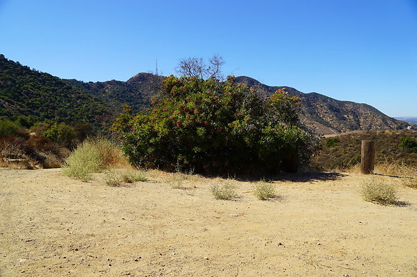 Royce.Cyn.Mt.Hwd.03