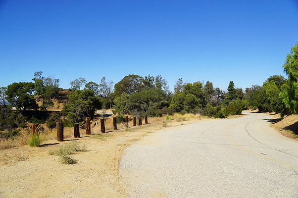 Royce.Cyn.Mt.Hwd.10