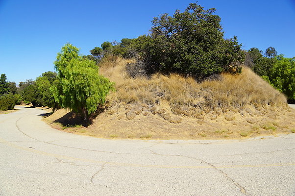 Royce.Cyn.Mt.Hwd.11
