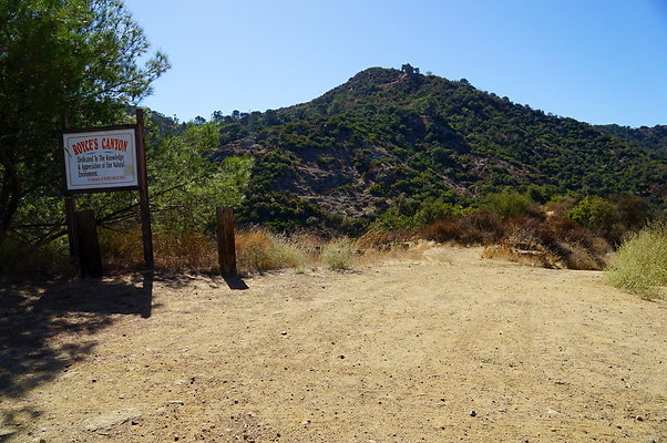 Royce.Cyn.Mt.Hwd.02