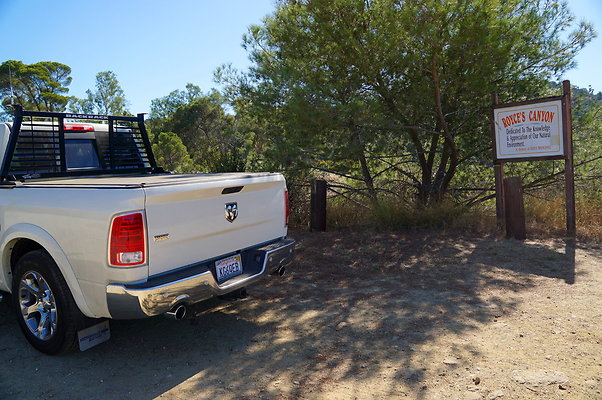 Royce.Cyn.Mt.Hwd.01