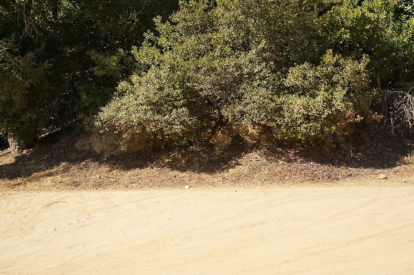 Mineral.Wells.Trail.Head.05