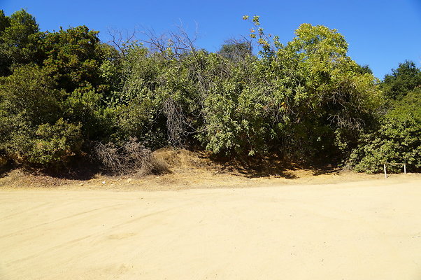 Mineral.Wells.Trail.Head.14