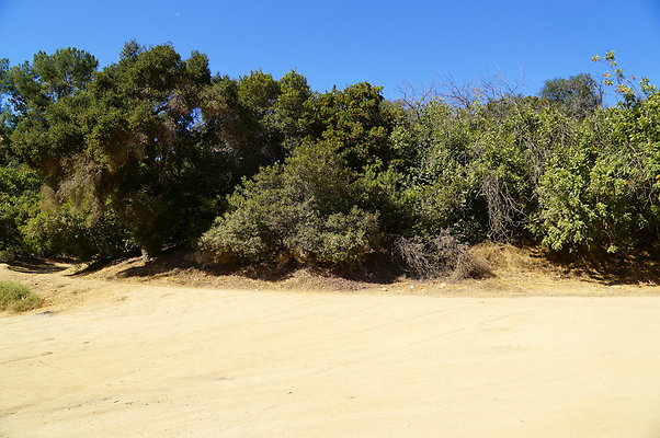Mineral.Wells.Trail.Head.02