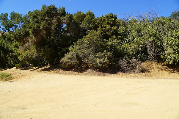 Mineral.Wells.Trail.Head.12