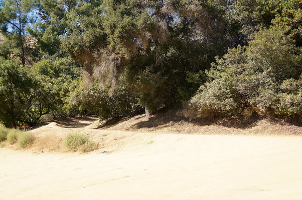 Mineral.Wells.Trail.Head.19