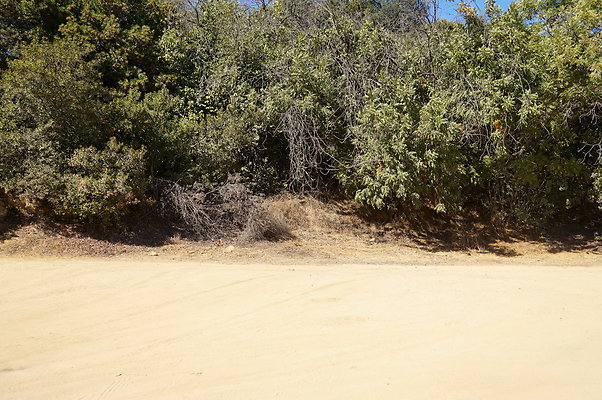 Mineral.Wells.Trail.Head.20