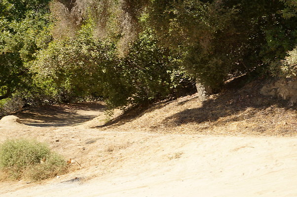 Mineral.Wells.Trail.Head.04