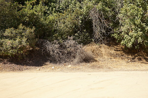 Mineral.Wells.Trail.Head.06