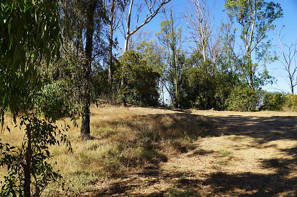 Trail.Head.Three.Mt.Hwd.GP.11
