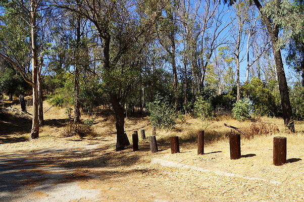Trail.Head.Three.Mt.Hwd.GP.18