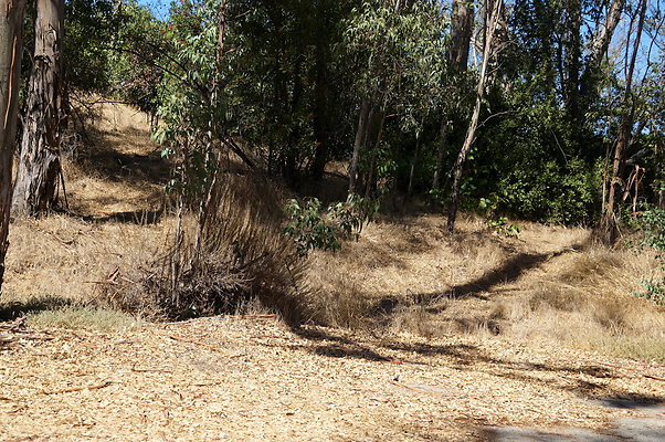 Trail.Head.Three.Mt.Hwd.GP.01