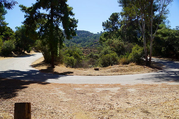 Trail.Head.Three.Mt.Hwd.GP.16