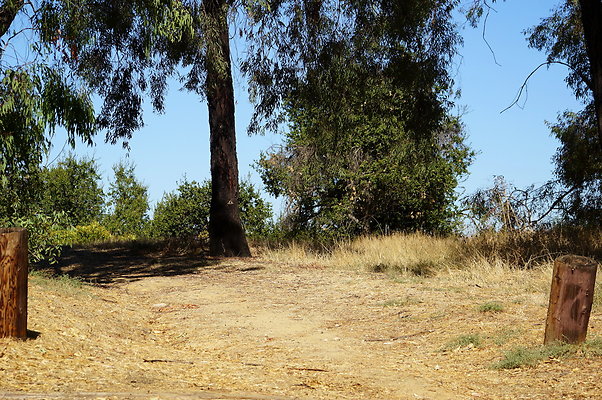 Trail.Head.Three.Mt.Hwd.GP.07