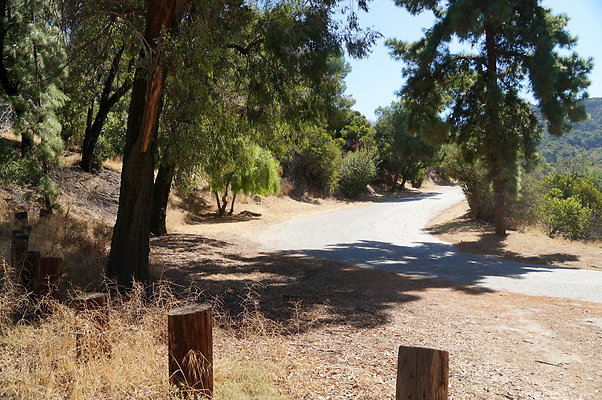 Trail.Head.Three.Mt.Hwd.GP.15