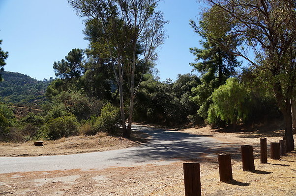 Trail.Head.Three.Mt.Hwd.GP.17