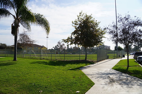 Belvedere.Skate.Park.06