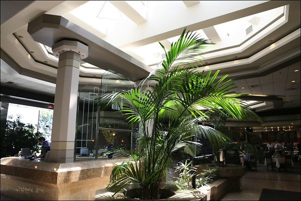 ParkPlace 90245 20110427 1213