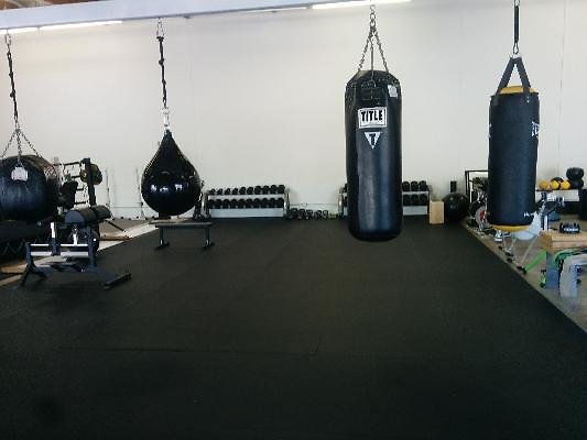 10564 gym4