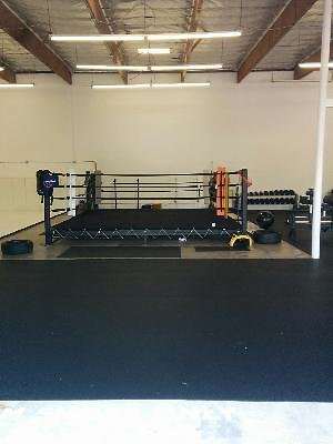 10564 gym2