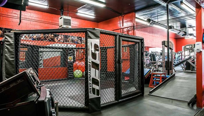 PL4686-10-880x502 PL4686-10-880x502