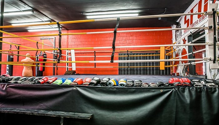 PL4686-9-880x502 PL4686-9-880x502