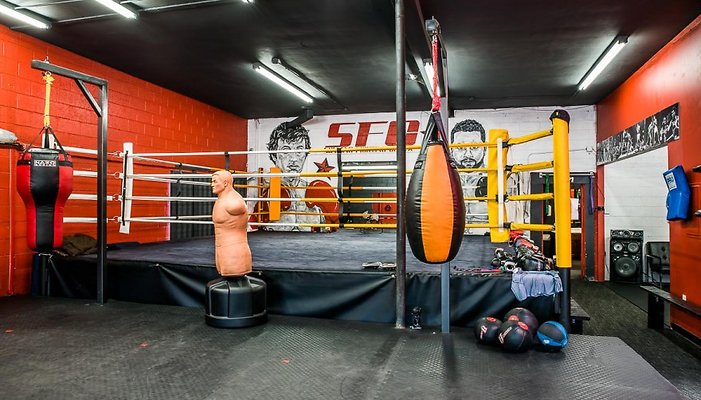 PL4686-5-880x502 PL4686-5-880x502