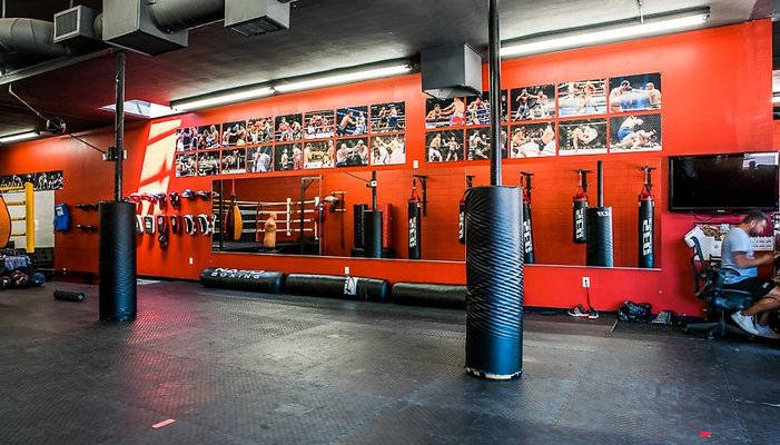 PL4686-2-880x502 PL4686-2-880x502