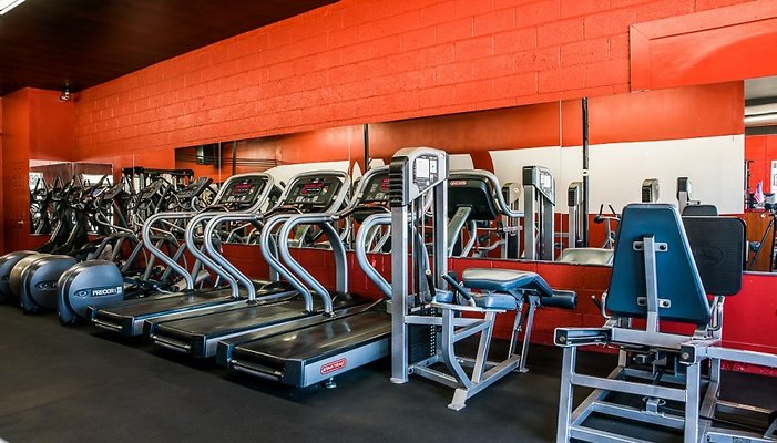 PL4686-18-880x502 PL4686-18-880x502