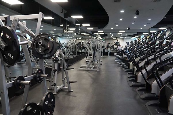 Sylmar Cardio 10