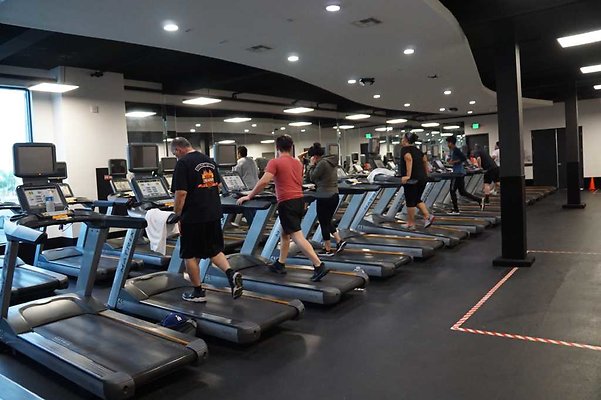 Sylmar Cardio 06