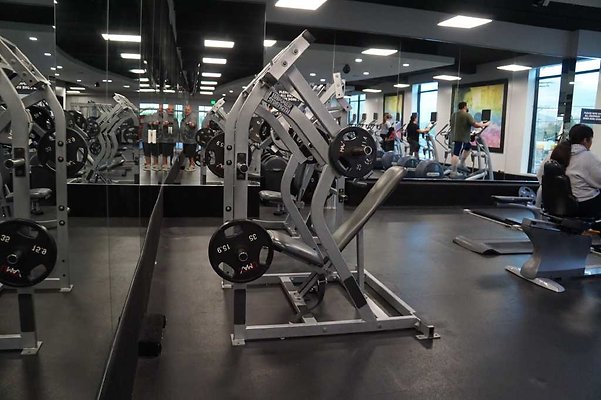 Sylmar Cardio 20
